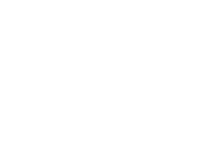 Imagine Canada logo